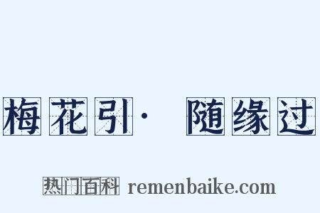 梅花引·随缘过是什么意思的图片